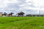 240424-Race 2-Restless Prince-3462