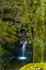 Ormidale Estate, Argyll - 3974
