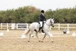 SBM_002888