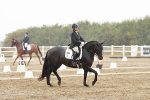 SBM_004001