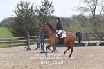 BPP_1138