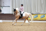 SBM_008137