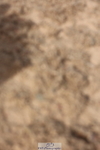 240629A-091002-02879