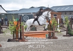 JAC_2175