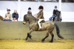 SBM_008952