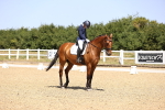 SBM_010514