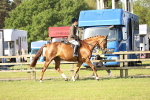 SBM_12285