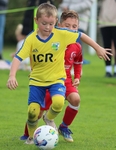 Ibis U8 vs Kendal Utd U8 portfolio