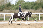 SBM_003655