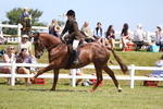 3E7A8500