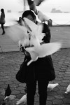 Pigeons (Dalian) #1
