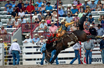 3HRodeo7-26-25_CFD_oooo2997_