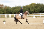 SBM_009907