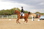 SBM_007372