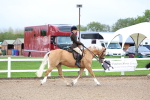SBM_00241