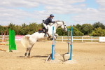 SBM_006082