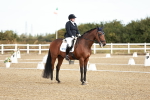SBM_008627