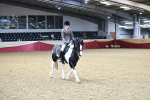 SBM_03651