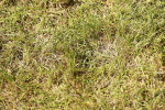 SBM_05598