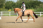 SBM_007345