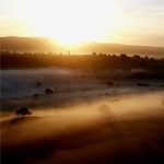 Misty Eden Valley, Cumbria