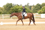 SBM_001333