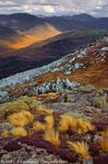 Autumn Along the Ridge