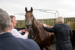 220824-Race 4-Content-1171