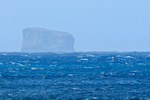 Eldey, the final refuge of the Great Auk