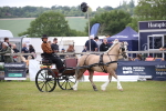 SBM_05612