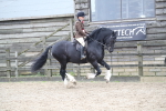 SBM_007071