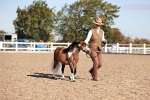 SBM_11445