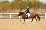 SBM_010511