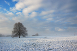 Cold snap Clifton Downs _B0165