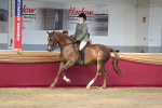 SBM_02907