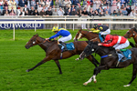 130626-Race 6-Point Of Contact-0651