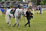 EQUISCOT 9379