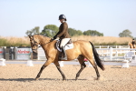 SBM_01678