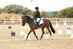 SBM_003616