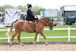 SBM_03378