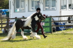 SBM_08955