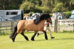 SBM_01609