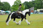 SBM_00875