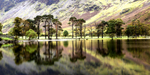 No.0031. Buttermere Pines