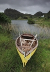 Mellow Yellow tarbert by Handa