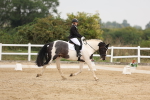 SBM_01581
