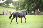 SBM_44363