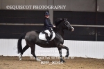 BPP_8044