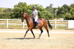 SBM_003729