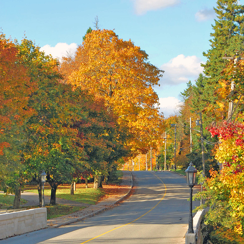 Rothesay Road, near College Hill, adorned in autumn color.